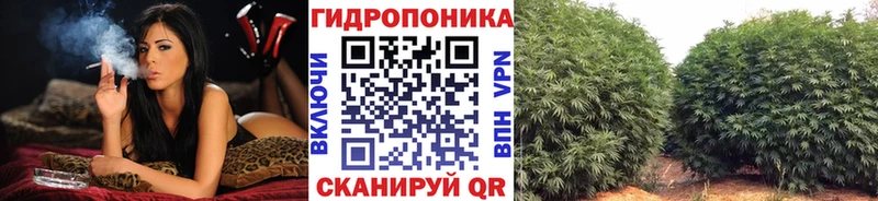 купить наркотики цена  Вятские Поляны  Конопля сатива 